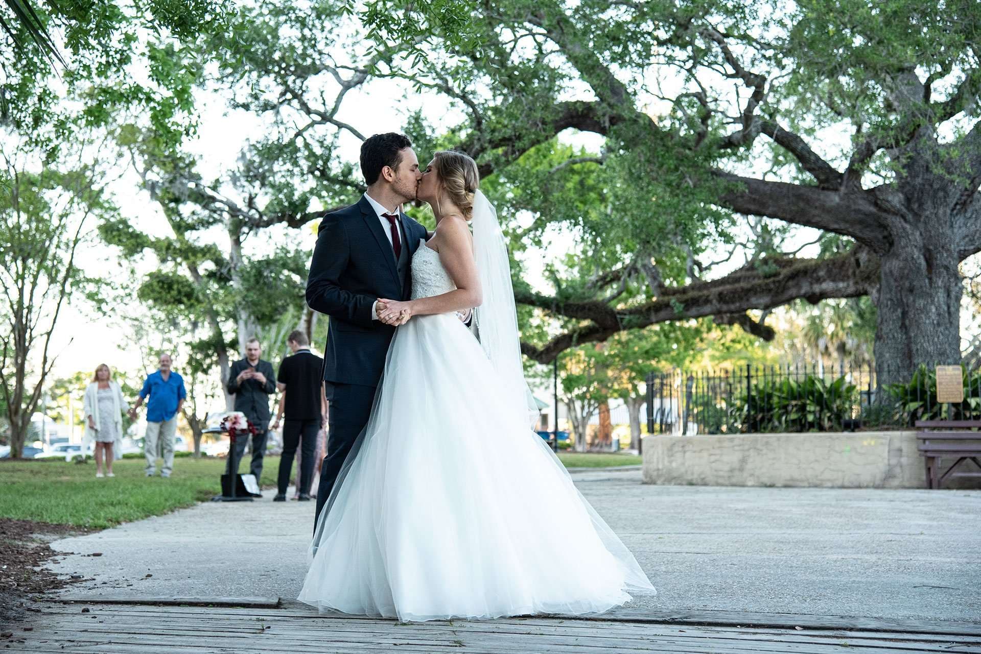 Couple kissing beneath a large live oak, bride in a long veil and white gown, guests watching in the background