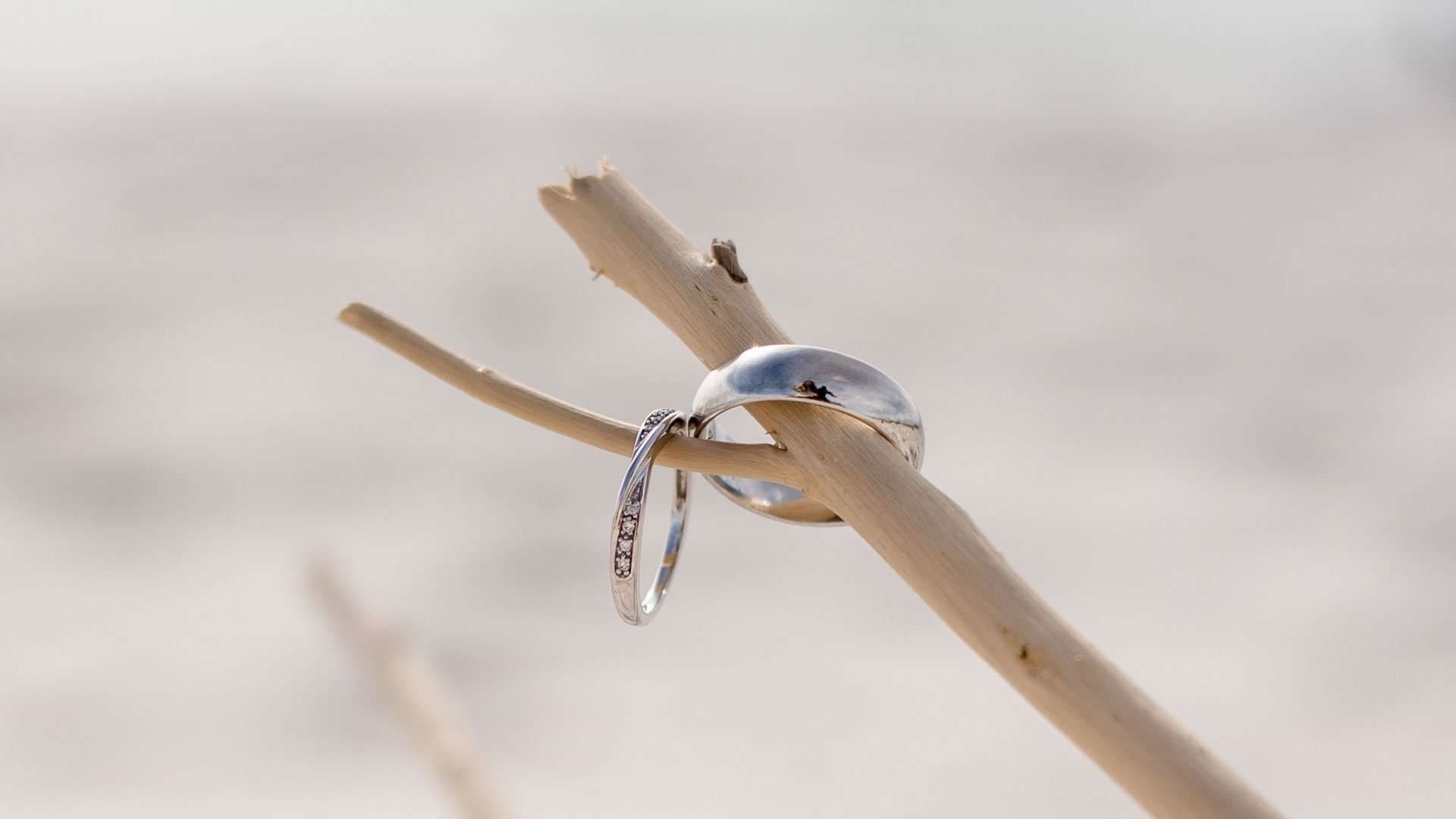 Two silver wedding bands resting on a weathered driftwood branch against a soft, blurred sandy background