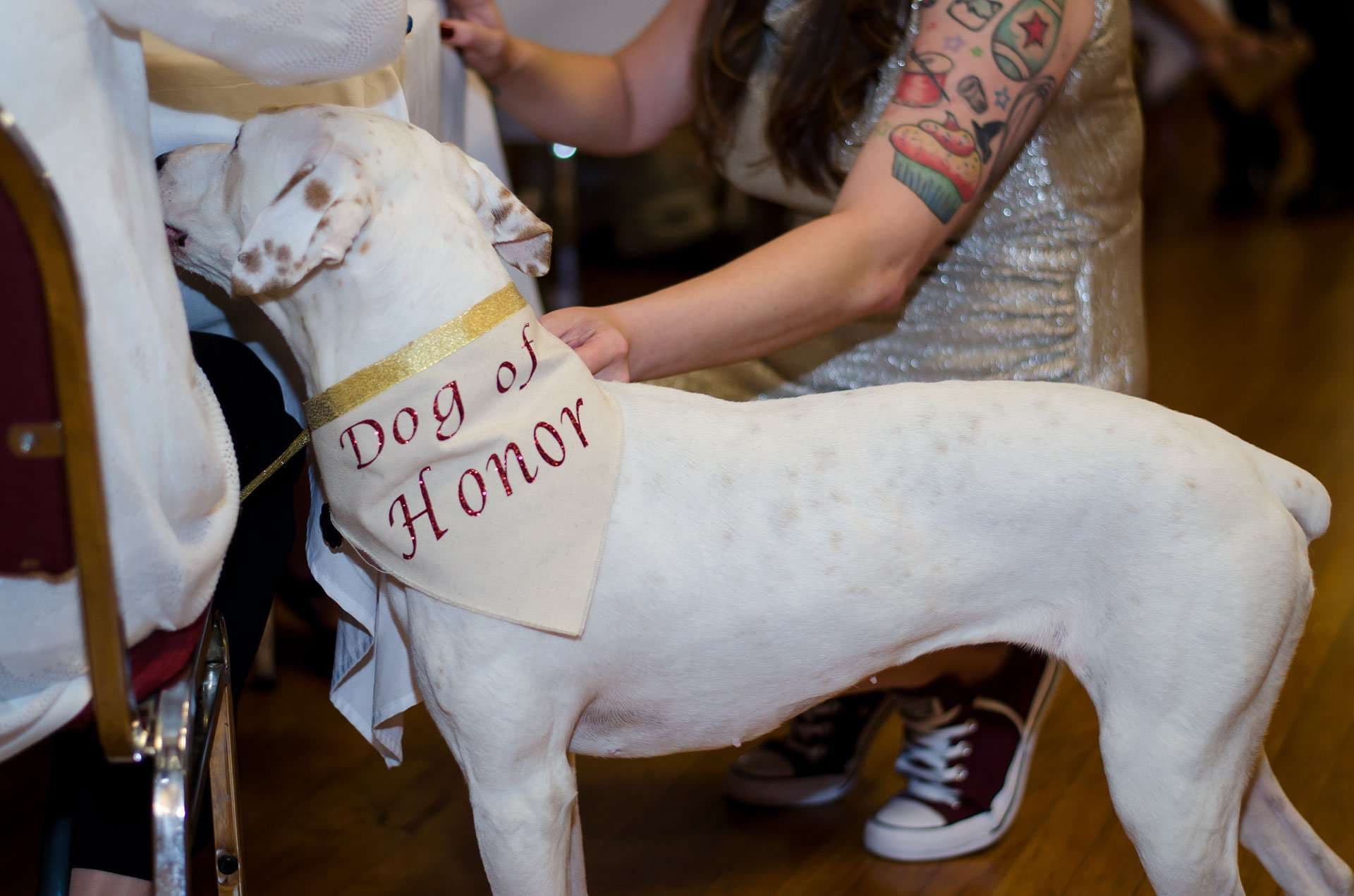 White dog wearing a Dog of Honor bandana being petted by a tattooed woman in a sparkly dress at a wedding