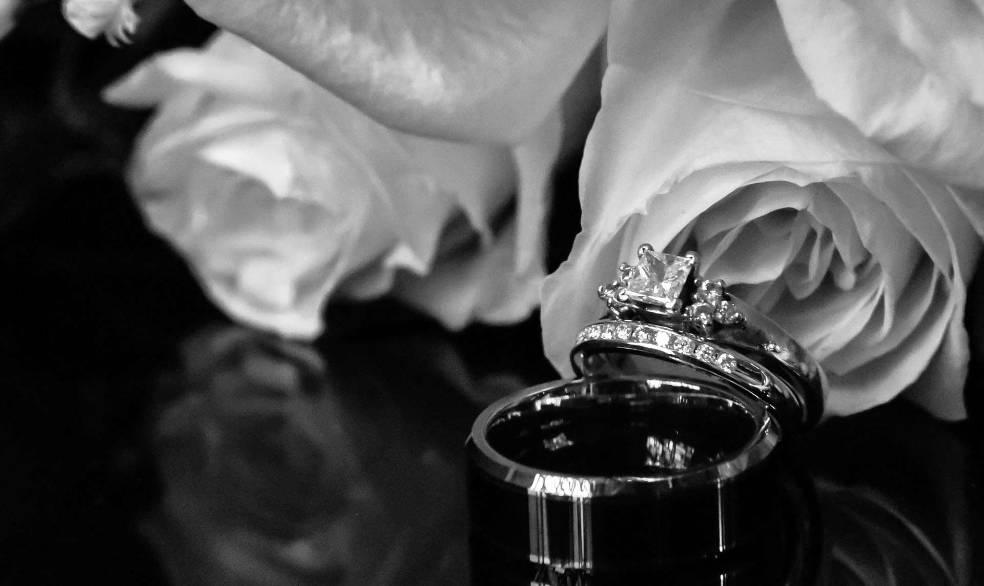 Black-and-white wedding rings, one with a princess-cut diamond, stacked upright on a reflective surface beside soft roses