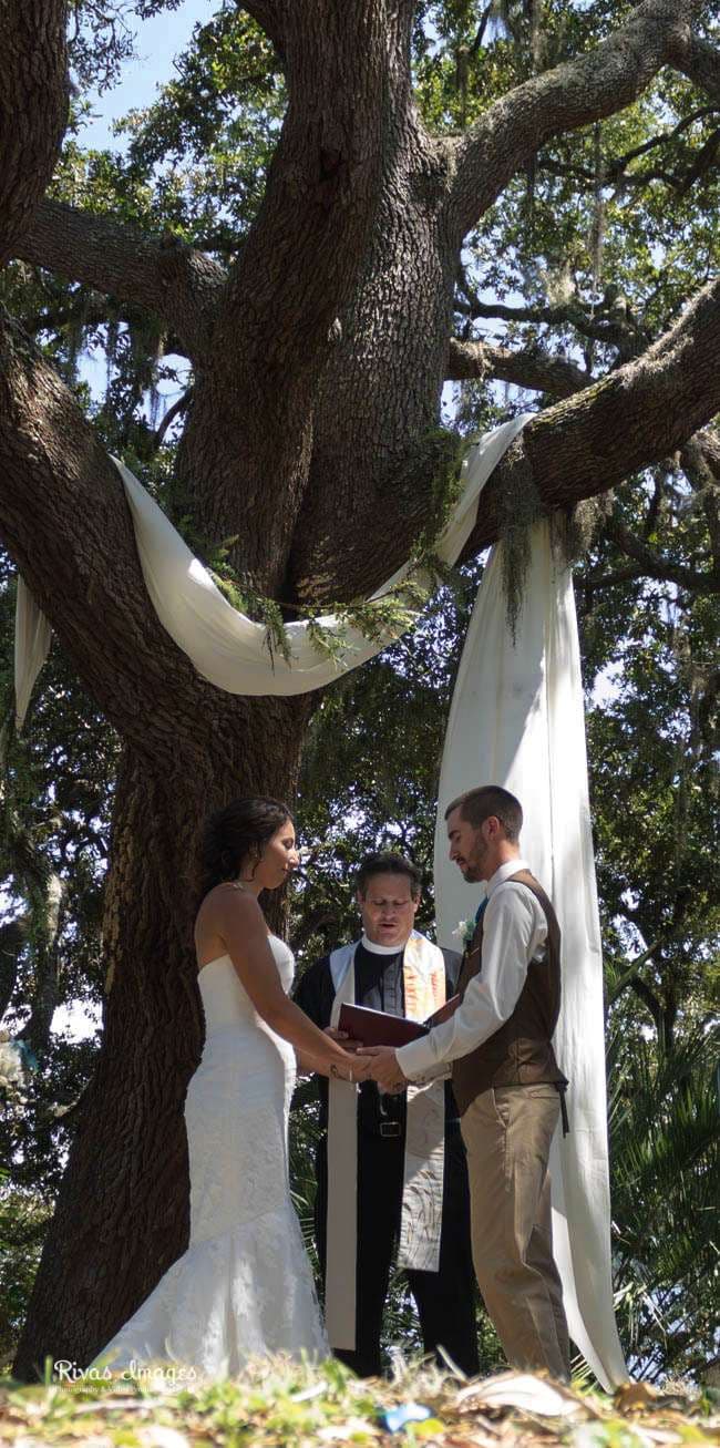 Couple holding hands exchanging vows before an officiant under a large oak draped with white fabric at Camp Helen State Park