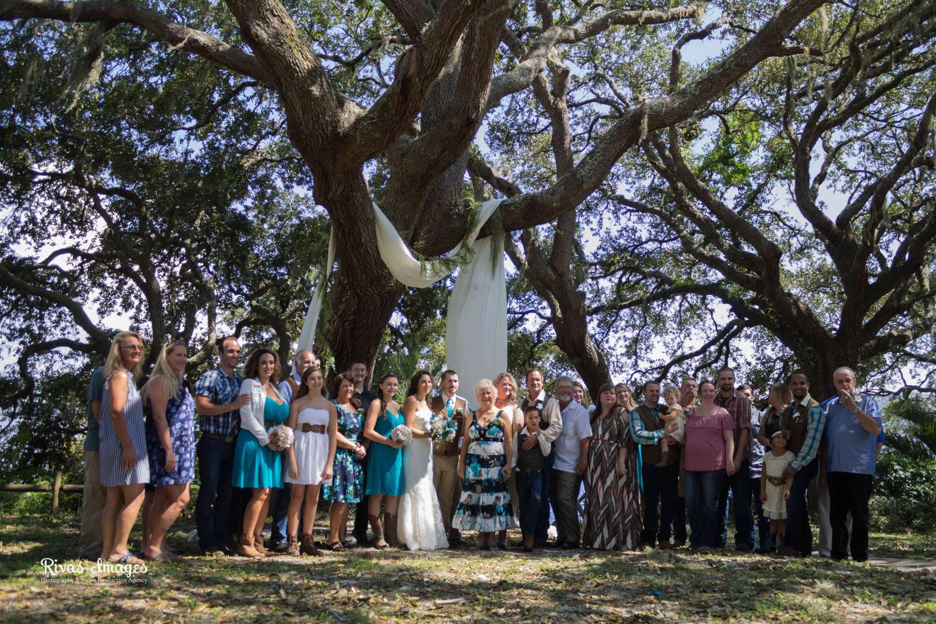 Wedding party and guests posed in a group beneath large oak trees at Camp Helen State Park, bride in white gown