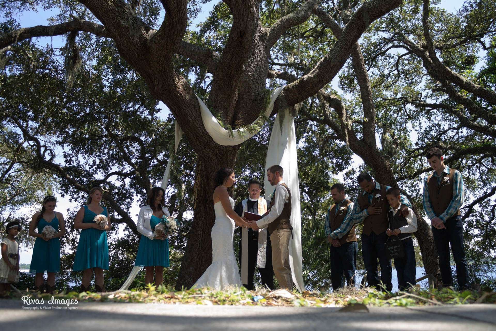Couple exchanging vows under a large live oak draped in white fabric at Camp Helen State Park, attendants looking on