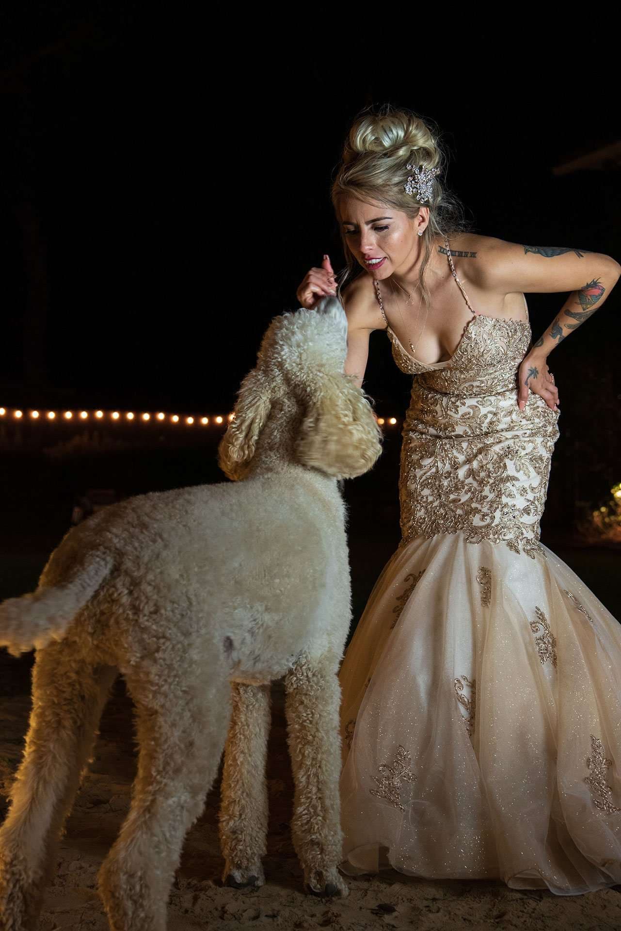 Bride in a gold beaded mermaid gown leaning toward a large fluffy cream poodle at night with string lights behind